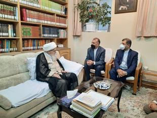 دیدار وزیر امور خارجه با حضرت آیت‌الله صافی گلپایگانی