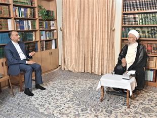 دیدار وزیر امور خارجه با حضرت آیت‌الله مکارم شیرازی